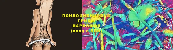 бошки Армянск