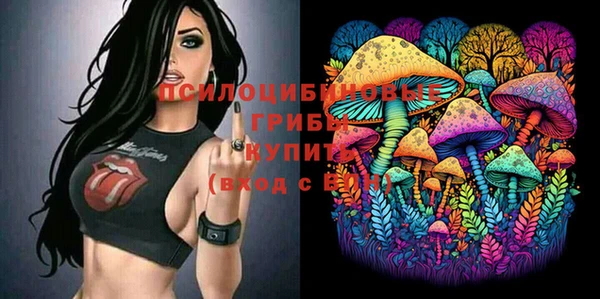 бошки Армянск
