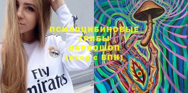 mix Арсеньев