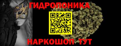 PSILOCYBIN Кандалакша