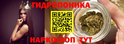 PSILOCYBIN Кандалакша