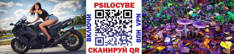 Псилоцибиновые грибы Psilocybine cubensis закладка Урюпинск