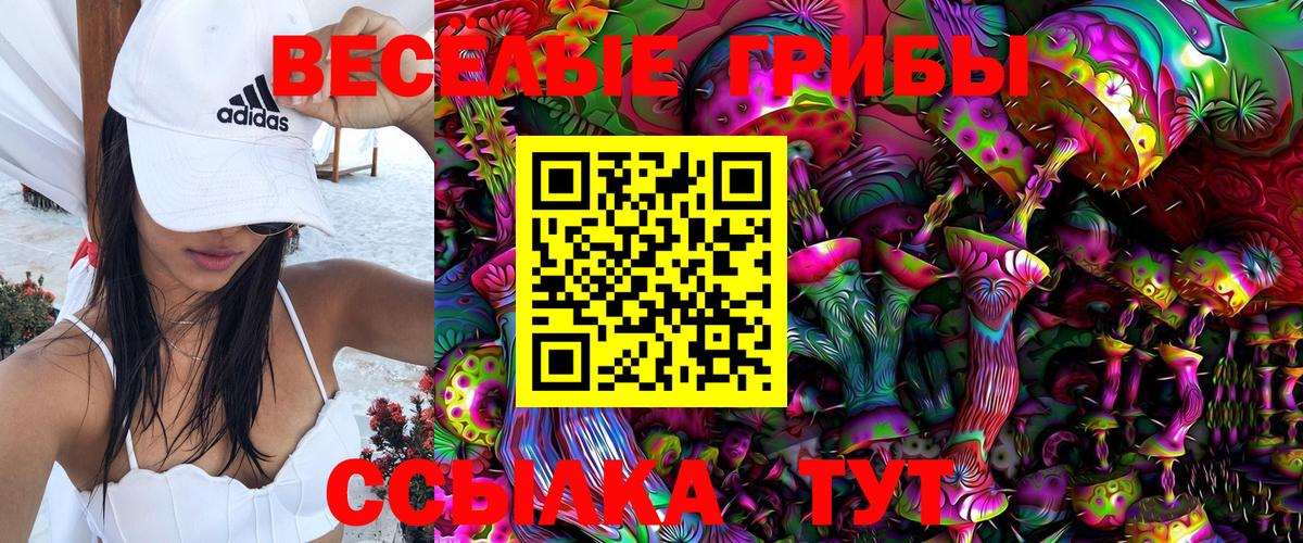Псилоцибиновые грибы Psilocybe Урюпинск