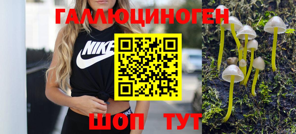 Галлюциногенные грибы Psilocybe  Псилоцибиновые грибы GOLDEN TEACHER  Вход с VPN  где можно купить   Урюпинск 