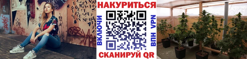 Шишки марихуана ГИДРОПОН  Урюпинск 